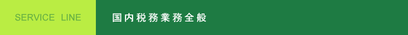 国内税務業務全般 